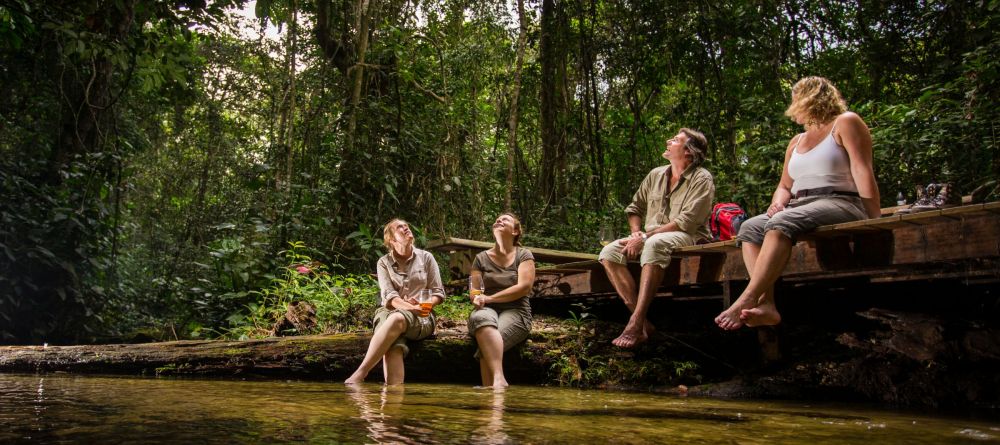 Mboko Camp, Odzala National Park, Republic of Congo - Image 16