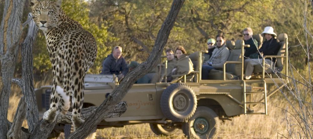 Okonjima Luxury Bush Lodge, Okonjima, Namibia - Image 13