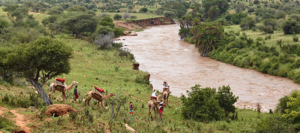 The Sanctuary at Ol Lentille - Camel Back rides - Image 14
