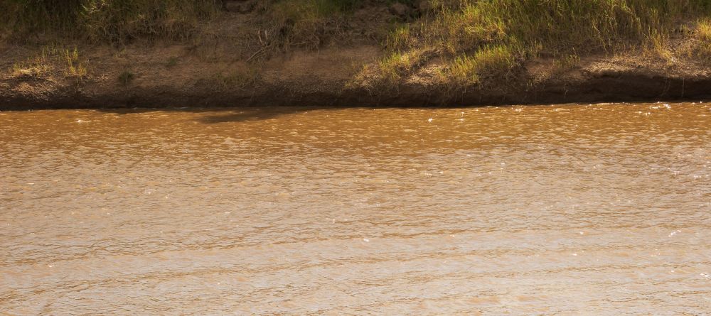 Olakira Tented Camp, Serengeti National Park, Tanzania - Image 6