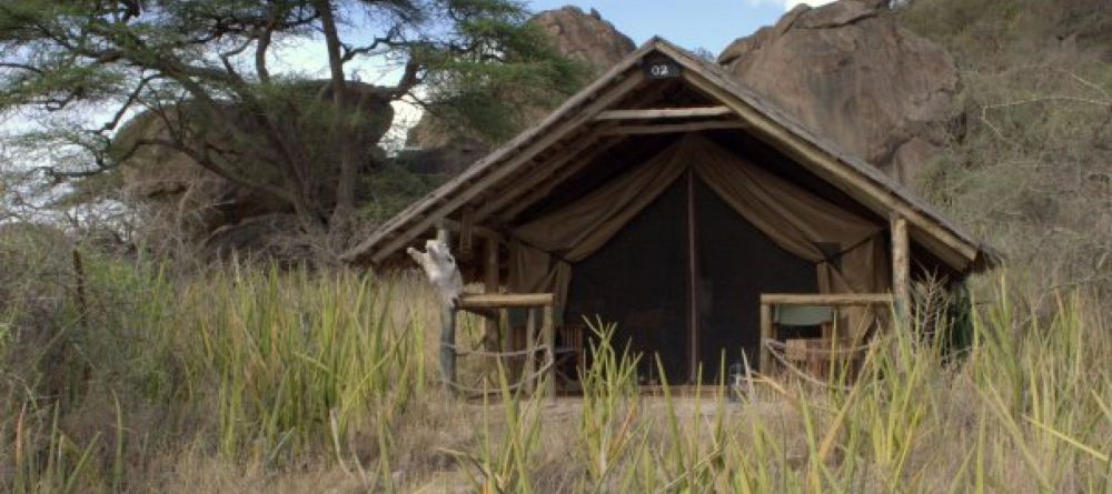 Olduvai Camp - Image 2