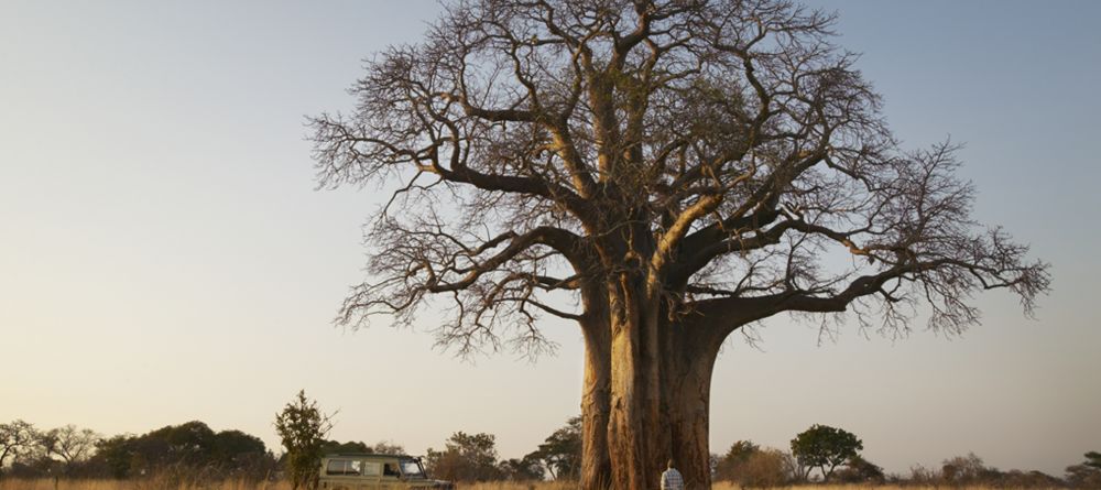 Olivers Camp, Tarangire National Park, Tanzania - Image 7
