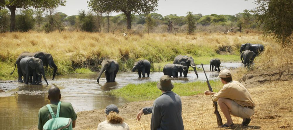 Olivers Camp, Tarangire National Park, Tanzania - Image 8