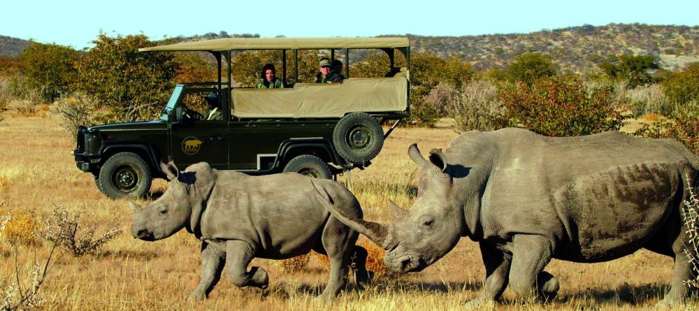 Ongava Lodge, Etosha National Park, Namibia Â© Dana Allen - Image 3