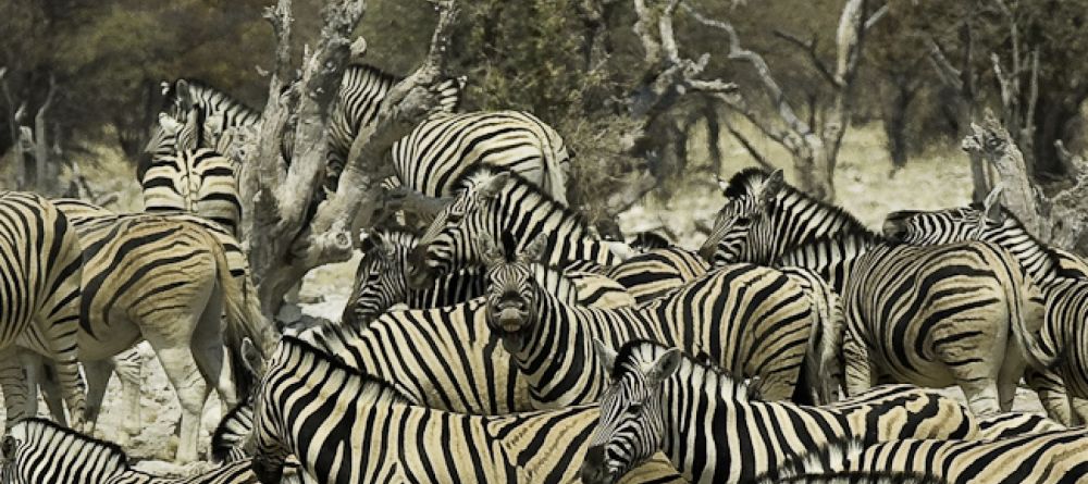 Erongo Wilderness Lodge, Omaruru, Namibia - Image 8