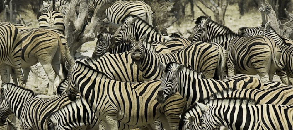 Epacha Game Lodge - Image 4