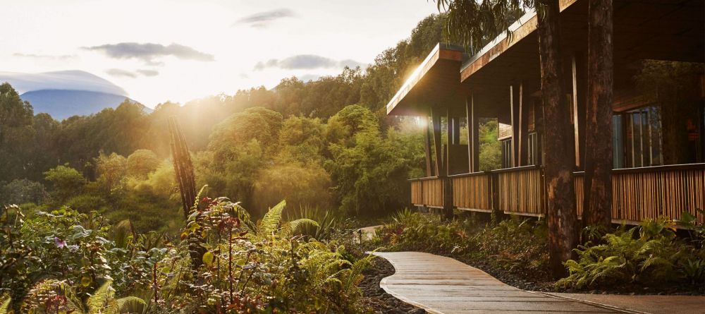 Nyungwe House, Nyungwe Forest, Rwanda - Image 15