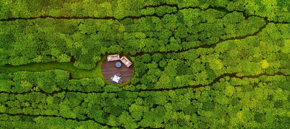 Nyungwe House, Nyungwe Forest, Rwanda - Image 16