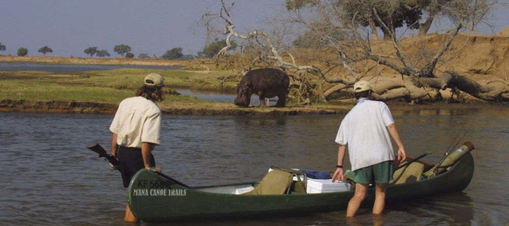 Mana Shoreline Canoeing hippo - Image 3