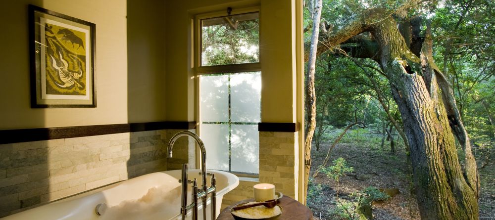 Phinda Forest Lodge, Phinda Private Game Reserve, South Africa - Image 3