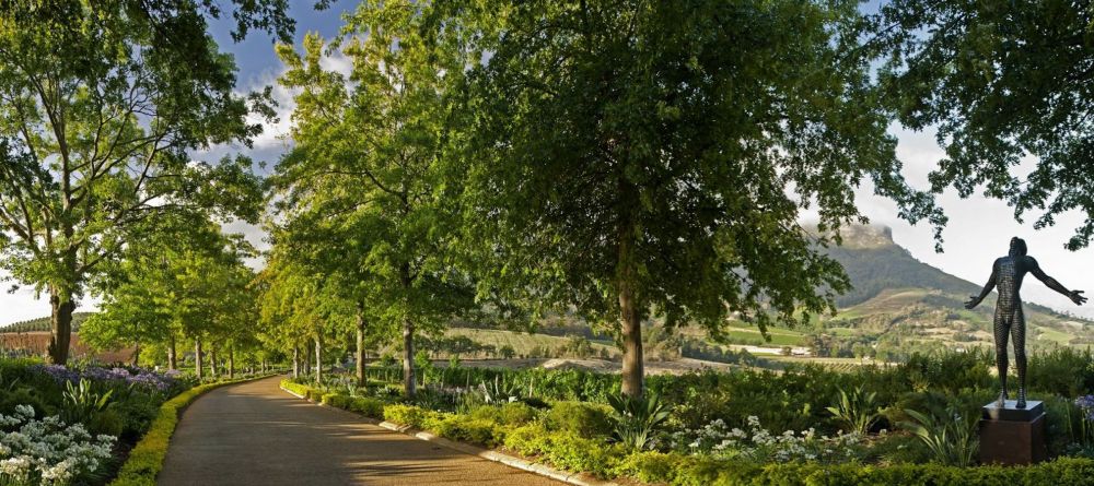 Guests are greeted by a beautiful drive up to the hotel at Delaire Graff, Stellenbosch, South Africa - Image 10