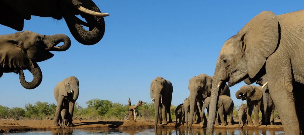 Mashatu Lodge, Mashatu Game Reserve, Botswana - Image 4
