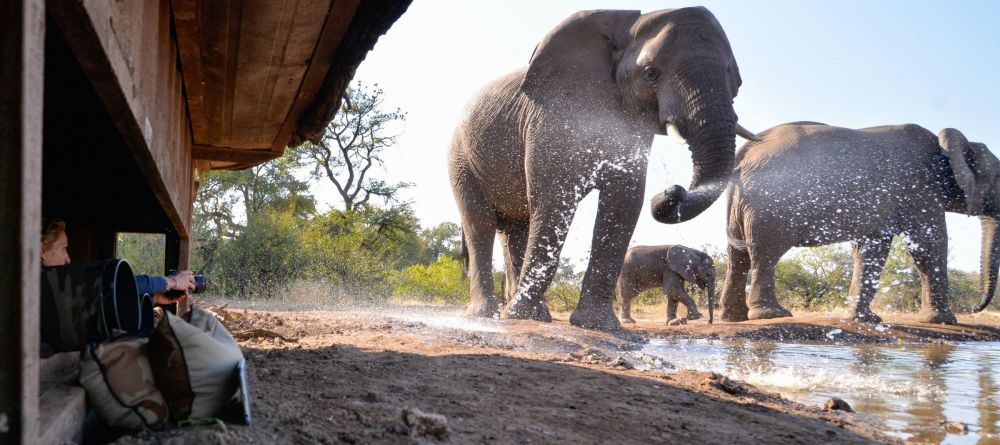 Mashatu Lodge, Mashatu Game Reserve, Botswana - Image 6