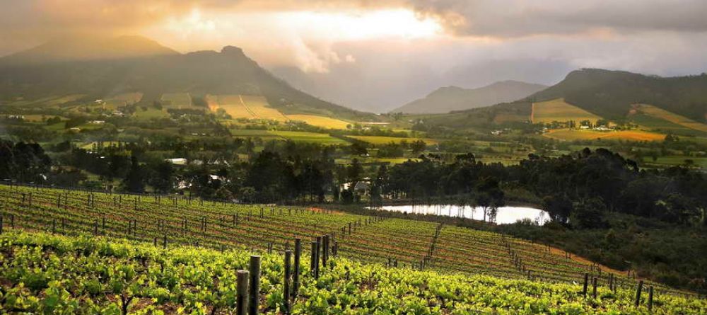 The vineyards and surrounding valley at La Petite Ferme, Franschhoek, South Africa - Image 8
