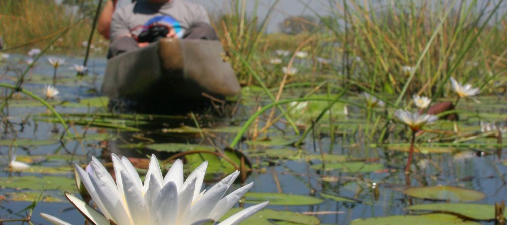 Pom Pom Camp, Okavango Delta, Botswana - Image 3