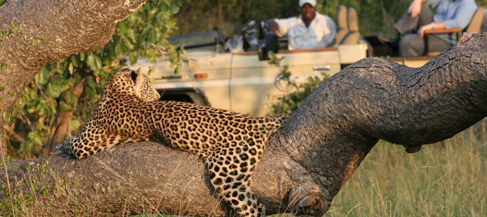 Tintswalo Safari Lodge, Manyaleti Game Reserve, South Africa - Image 1