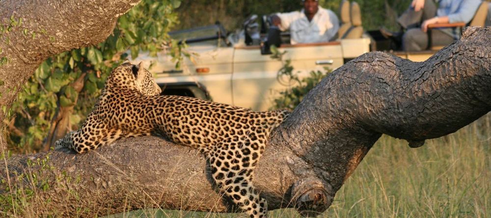 Timbavati Safari Lodge - Image 4