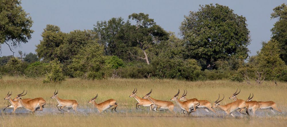 Qorokwe Camp  - Image 9