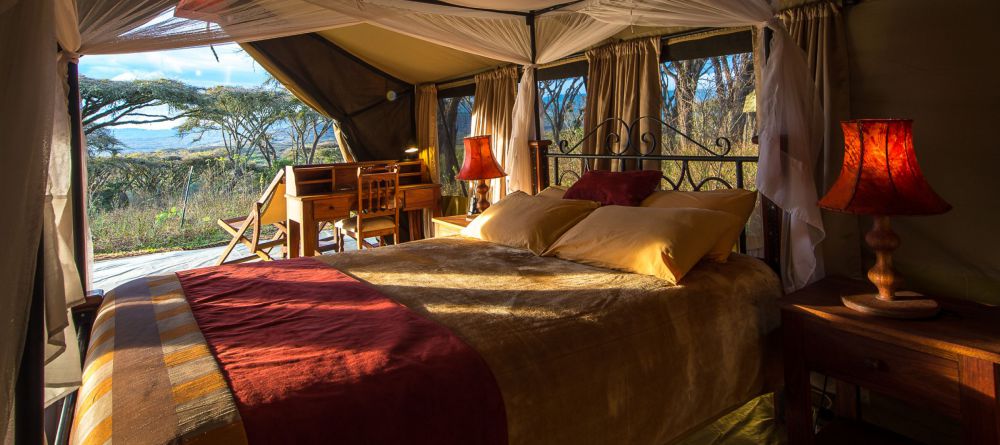Lions Paw tented room - Image 2