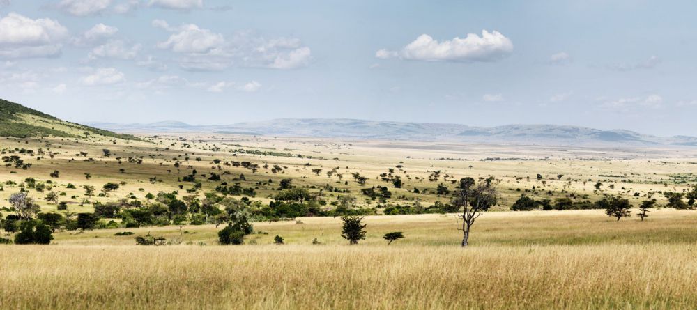 Central Serengeti View - Image 5