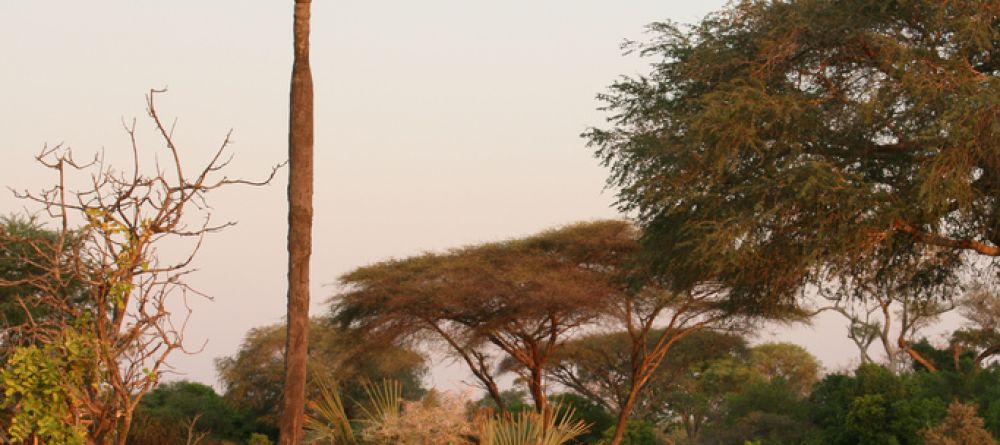 Relaxing in the bush in style at Katuma Bush Camp, Katavi National Park, Tanzania - Image 16