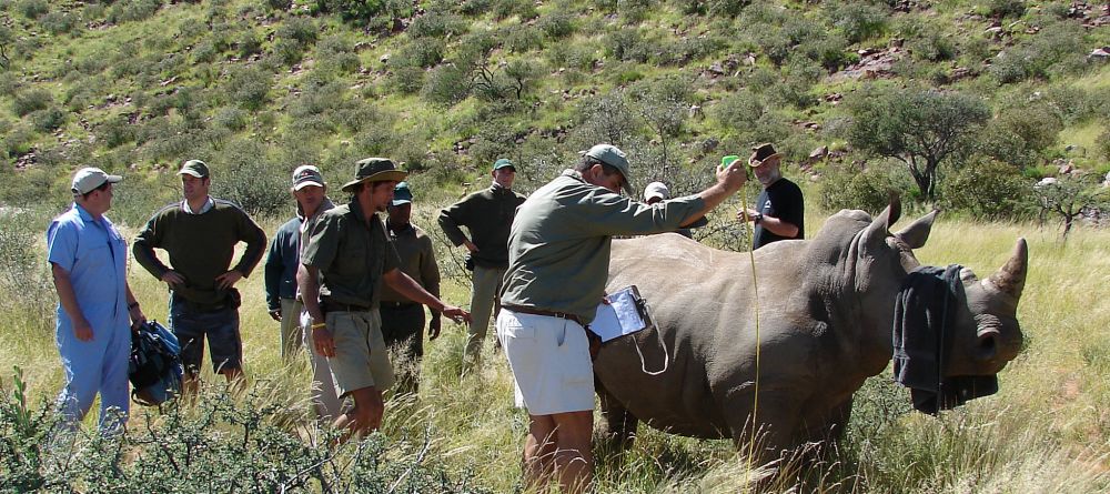Rhino Research- Tswalu Kalahari, Twsalu Kalahari, South Africa - Image 10