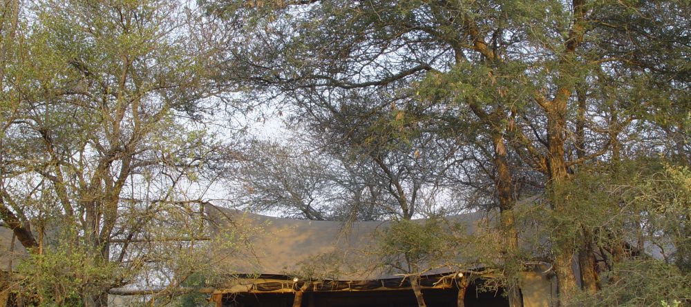 Rhino Walking Safaris - Plains Camp Dining - Image 15