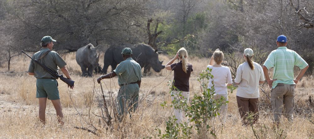 Rhino Walking Safaris - Walking with Rhino - Image 11