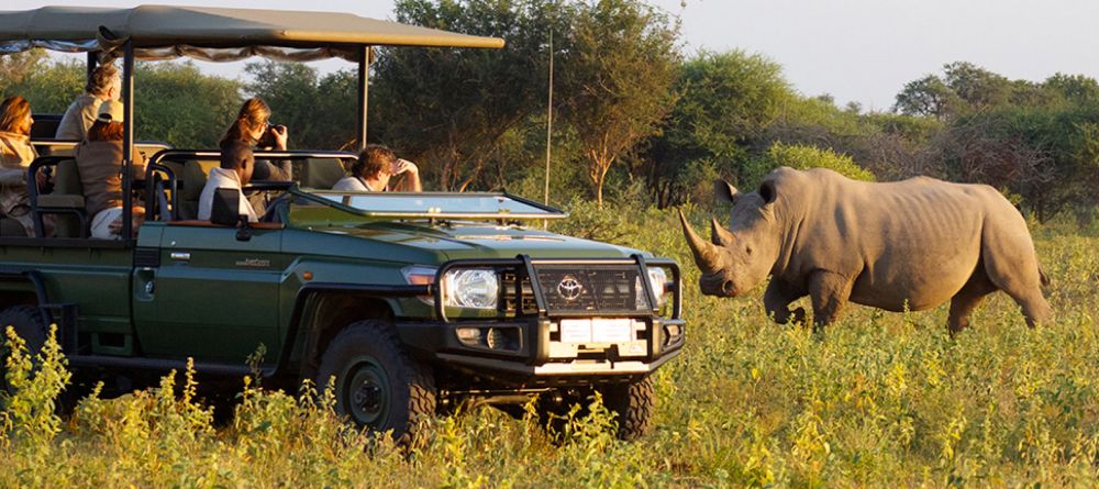 rhino - Image 2