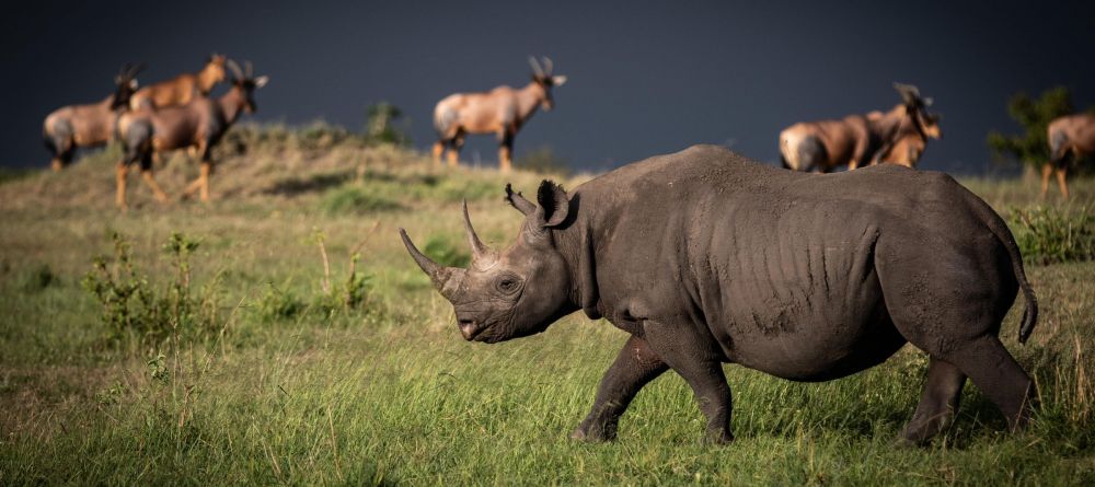 Lamai Serengeti, Serengeti National Park, Tanzania - Image 25