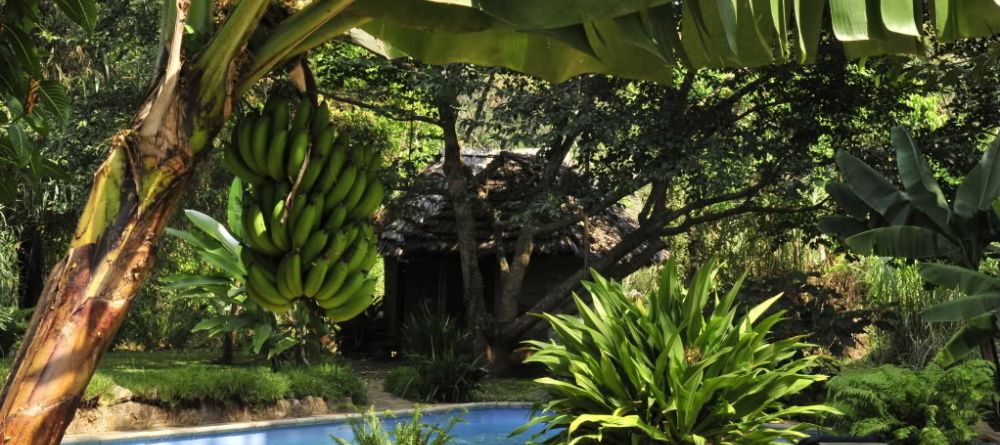 Rivertrees Country Inn, Arusha, Tanzania - Image 5