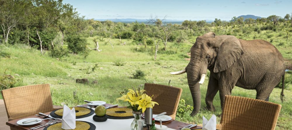Royal Madikwe, Madikwe Game Reserve, South Africa - Image 11
