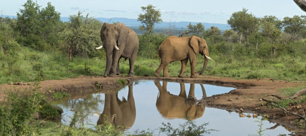 Royal Madikwe, Madikwe Game Reserve, South Africa - Image 1