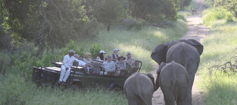 A trio of elephants pass by the game drive vehicle at Royal Malewane, Kruger National Park, South Africa - Image 21
