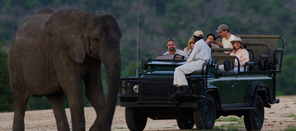 Meeting an elephant during a game drive at Royal Malewane, Kruger National Park, South Africa - Image 19