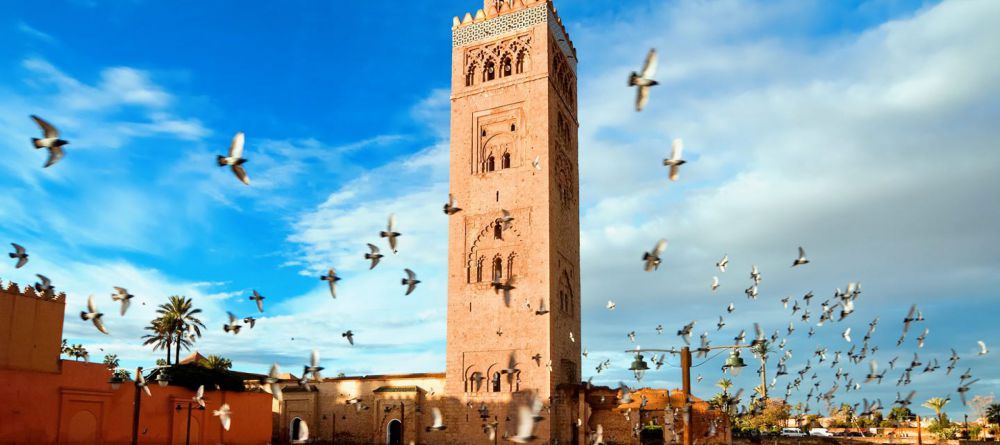 Riad Nashira - Image 4