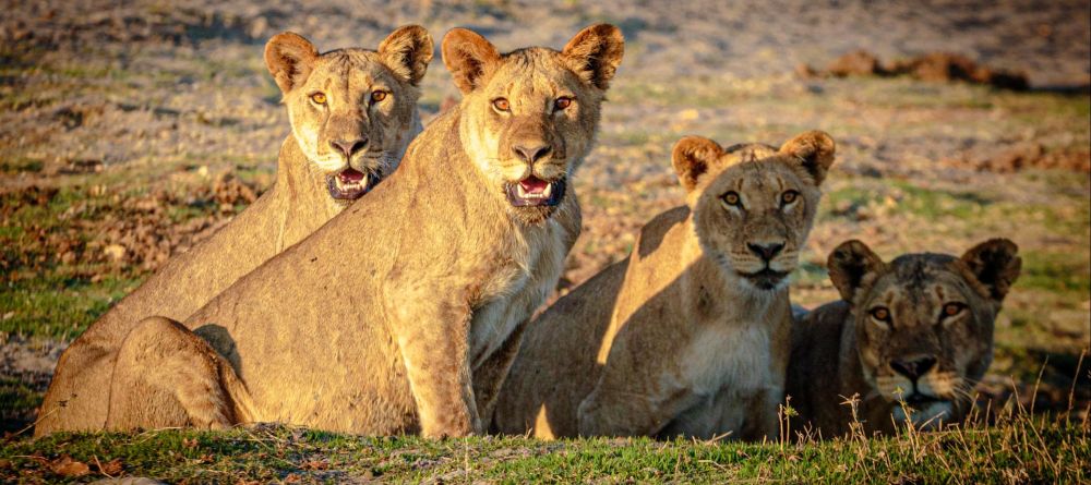 Royal Zambezi Lodge, Lower Zambezi National Park, Zambia - Image 9