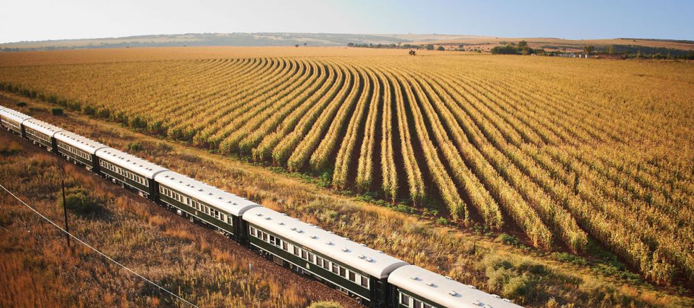 Train traveling through a field - Image 1