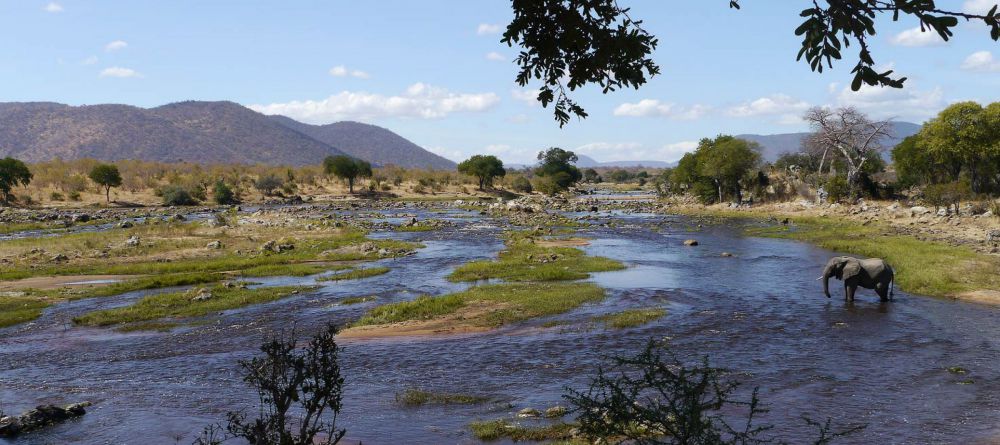 Ruaha River Lodge  - Image 6