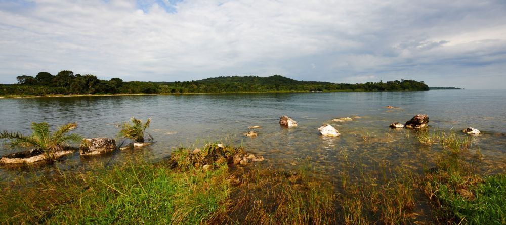 View from the forest walk at Rubondo Island Camp, Lake Victoria, Tanzania - Image 5