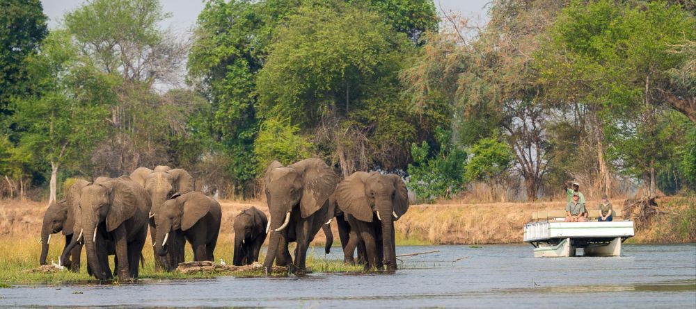 Ruckomechi Camp, Mana Pools National Park, Zimbabwe - Image 31