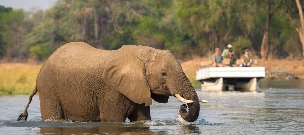 Ruckomechi Camp, Mana Pools National Park, Zimbabwe - Image 33