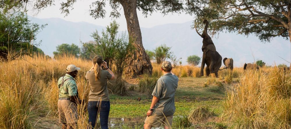 Ruckomechi Camp, Mana Pools National Park, Zimbabwe - Image 35