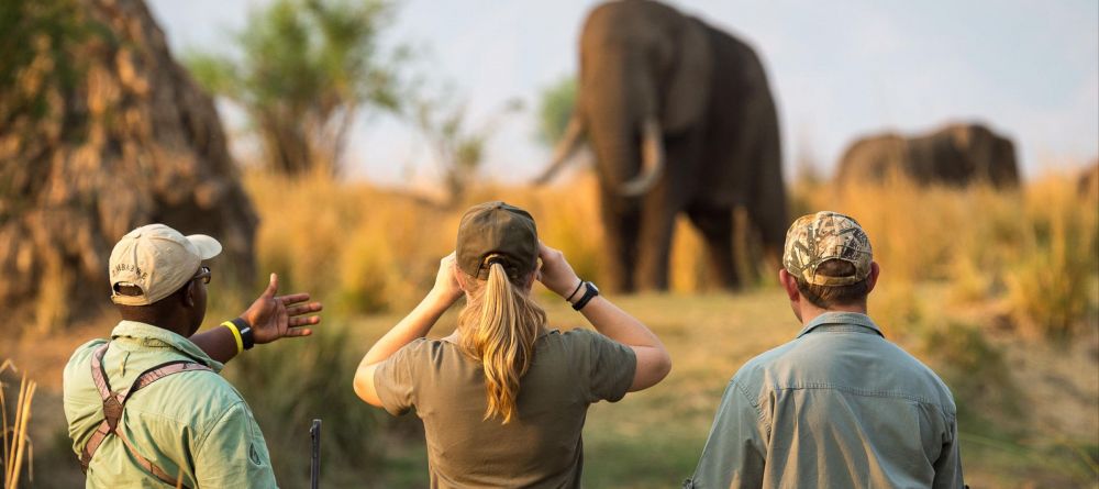 Ruckomechi Camp, Mana Pools National Park, Zimbabwe - Image 3