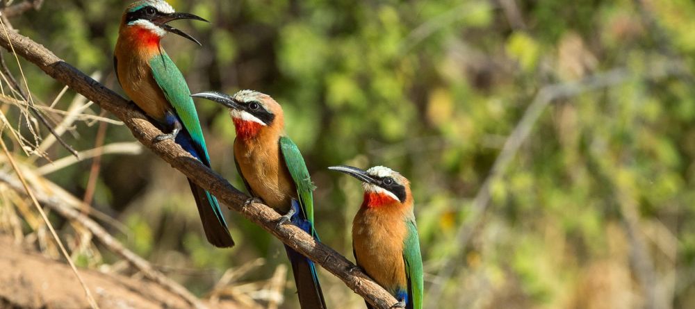 Fish River Lodge - Image 11