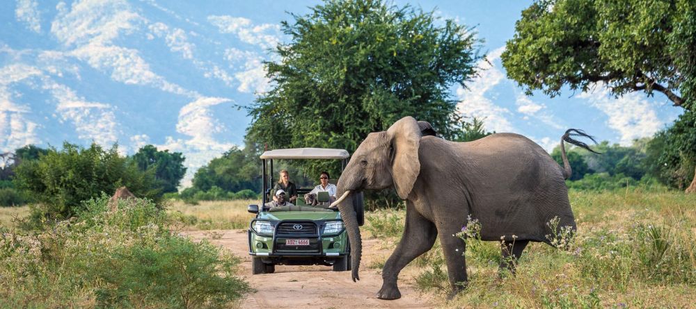 Ruckomechi Camp, Mana Pools National Park, Zimbabwe - Image 9