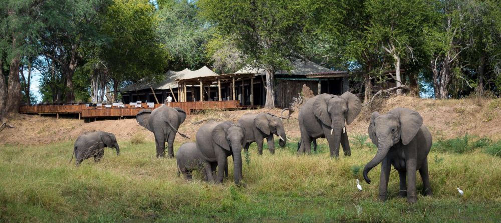 Ruckomechi Camp, Mana Pools National Park, Zimbabwe - Image 1