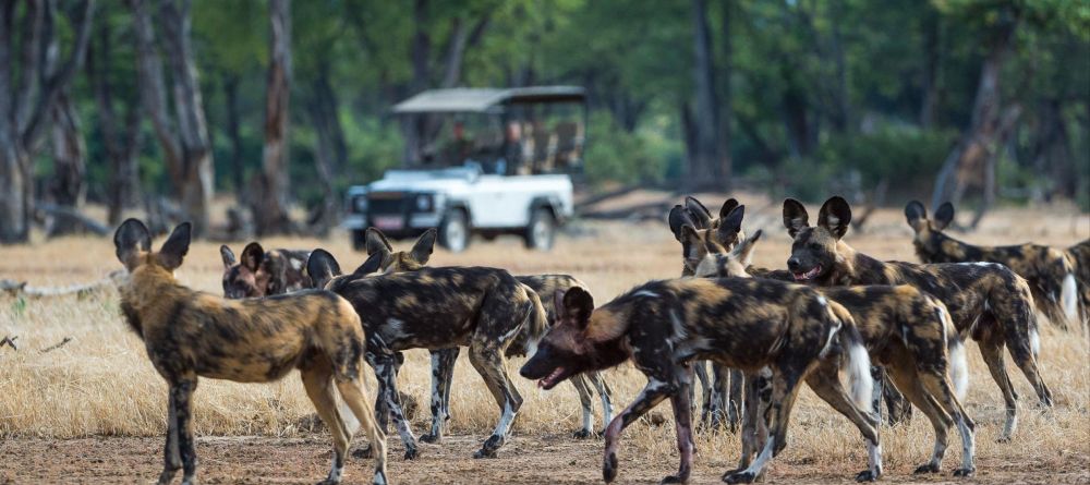 Ruckomechi Camp, Mana Pools National Park, Zimbabwe - Image 8