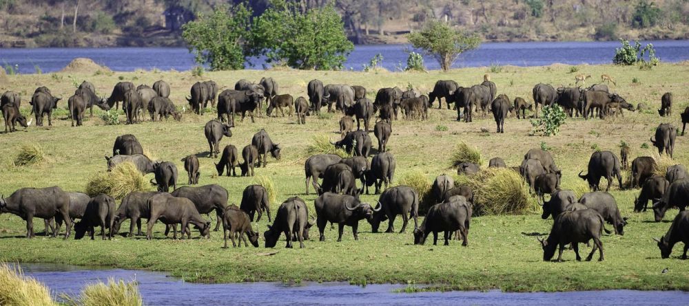 Ruckomechi Camp, Mana Pools National Park, Zimbabwe - Image 11