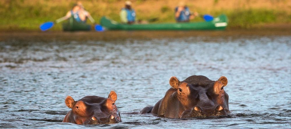 Ruckomechi Camp, Mana Pools National Park, Zimbabwe - Image 17